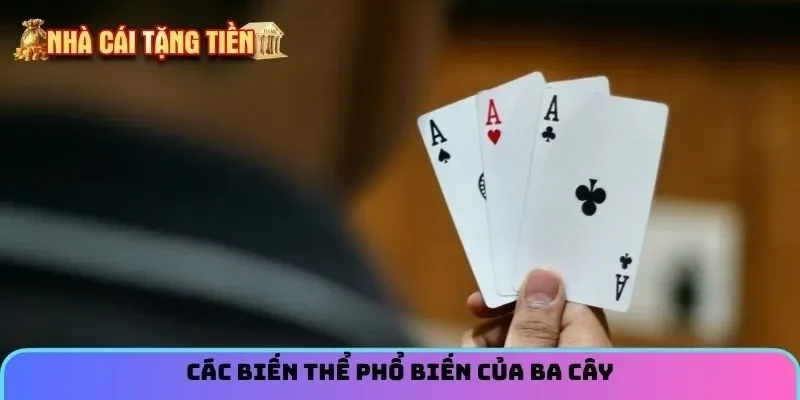 Các biến thể phổ biến của ba cây